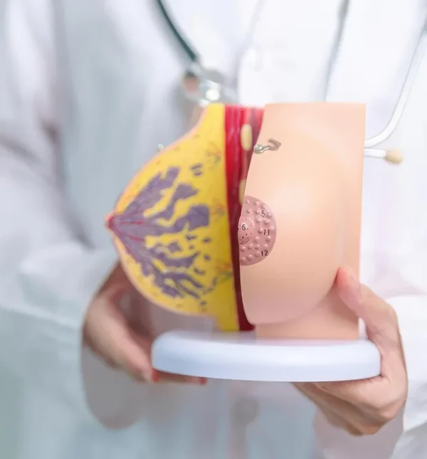 breast-tissue-and-fatty-tissue What Naturally Shrinks Breast Size