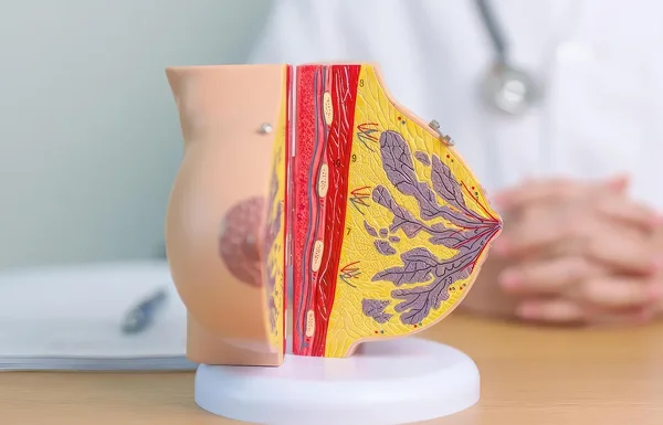 how-weight-loss-affects-breast-volume What Naturally Shrinks Breast Size
